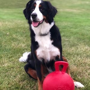 Meet your Posher, Lori